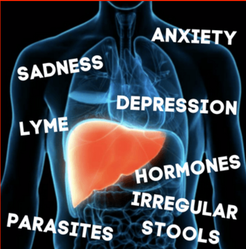 Comprehensive Liver Cleanse