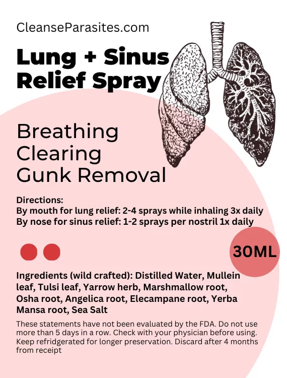 **PRE-OREDER** Lung Sinus Detox Cleanse – Herbal Spray