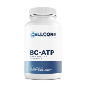 BC-ATP Mockup Image