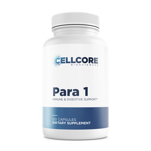 Para 1 Feature Image 1